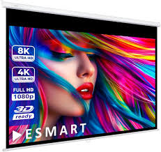 Leinwandbildschirm: Elektronik & Foto