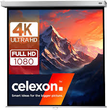 Celexon Rollo Professional Plus Leinwand | Format 1:1 | 180 x ...