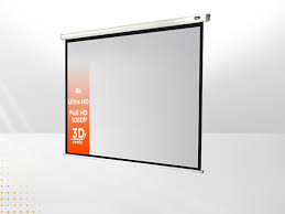 Celexon Economy 140" Rollo-Leinwand 16:9 Manuell